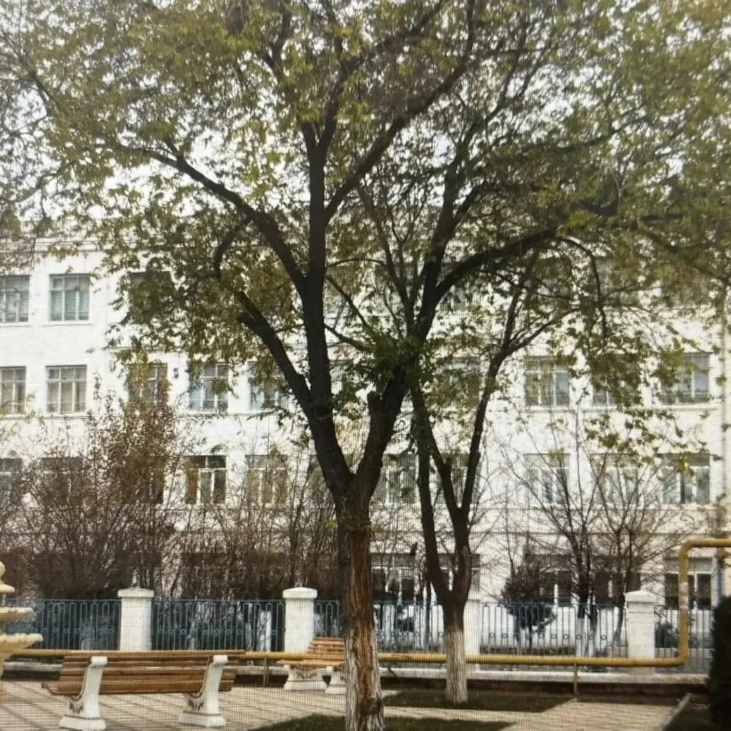 
МБОУ СОШ 1 имени Магомедова М.М.
