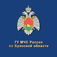МЧС Брянской области @mchs_bryansk