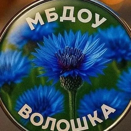 
МБДОУ "Волошка" города Ноябрьска
