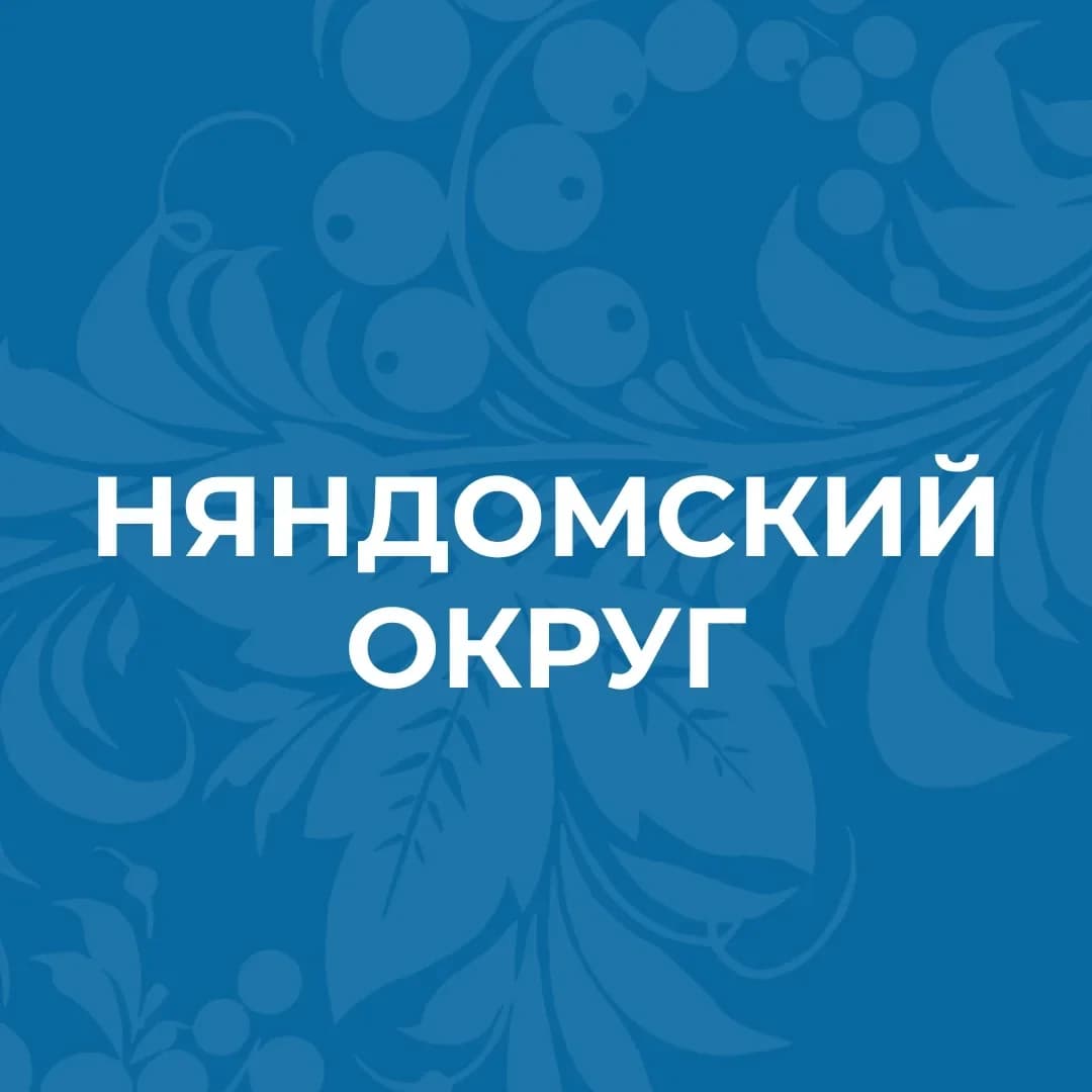 
Администрация Няндомского муниципального округа Архангельской области
