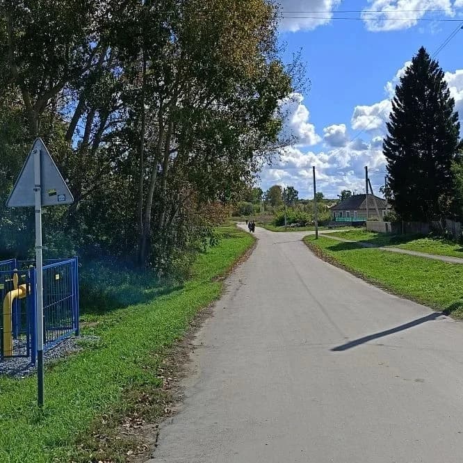 
Администрация Шурыгинского сельсовета
