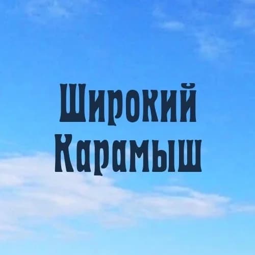 
Администрация Ширококарамышского сельского поселения Лысогорского муниципального района
