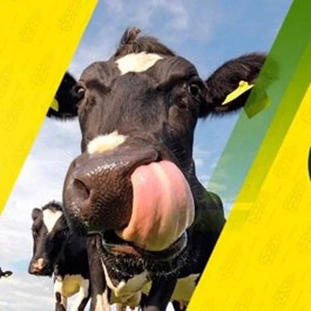 
Министерство сельского хозяйства и продовольственных ресурсов Вологодской области
