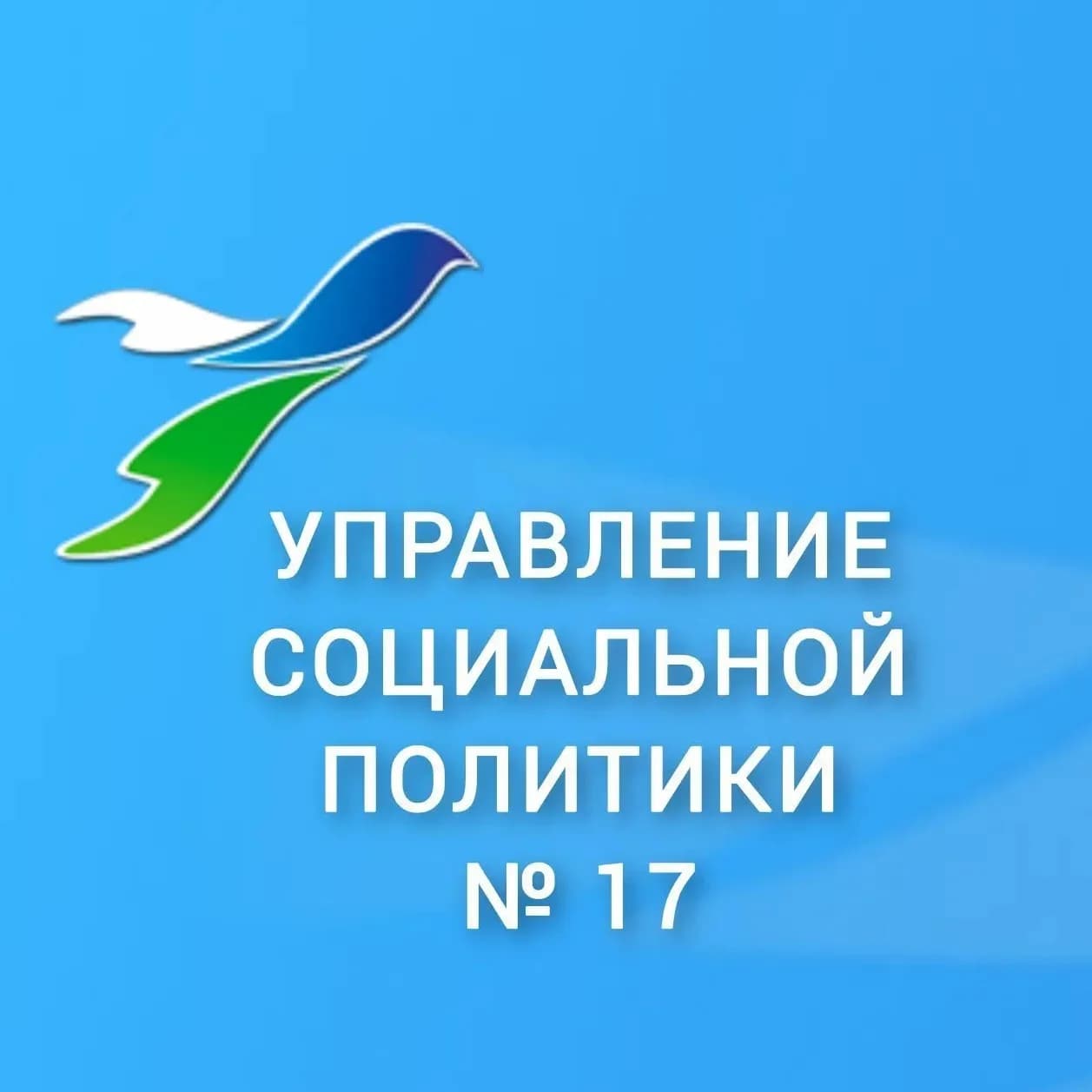 
Управление социальной политики 17
