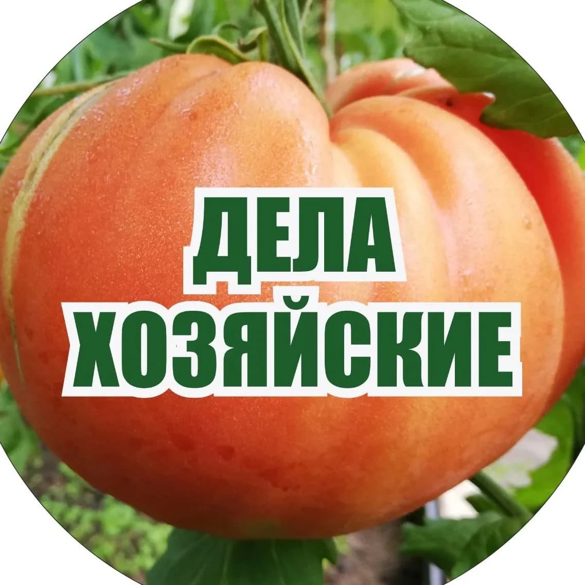 
Дела Хозяйские
