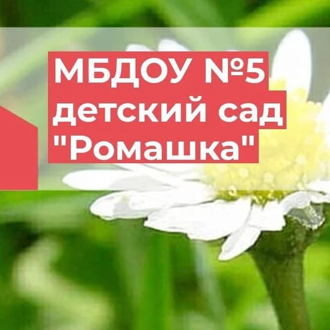 
МБДОУ №5 детский сад "Ромашка" села Шедок
