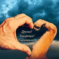 Друзья! Товарищи! Собачники! @druzya_tovarishchi_sobachniki