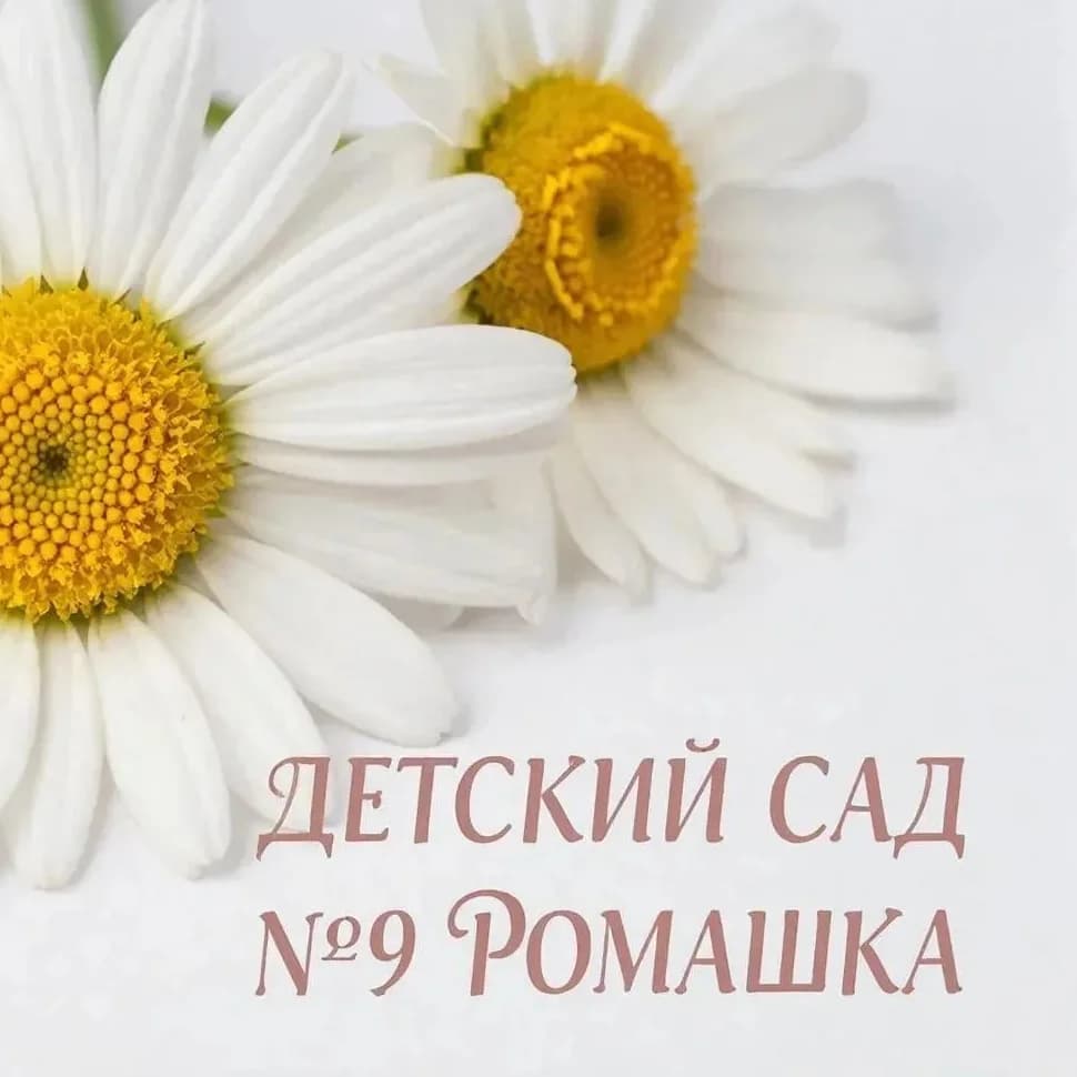 
МКДОУ"Детский сад №9"Ромашка"
