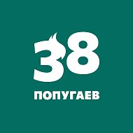 Фабрика мебели «38 Попугаев» @mebel38popugaev