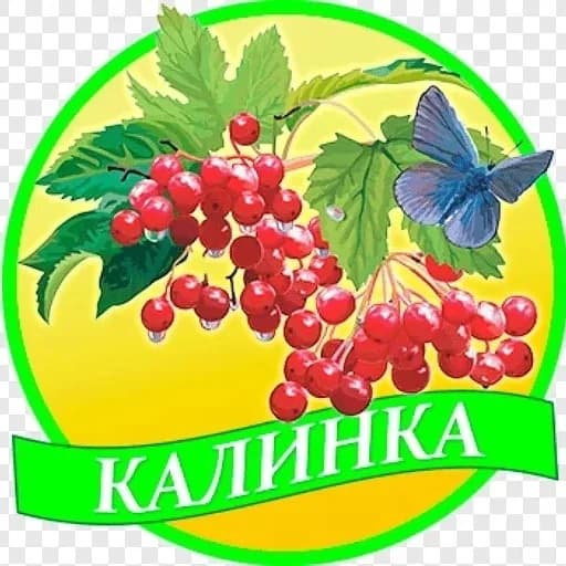 
МКДОУ д/с №4 "Калинка" АТМО
