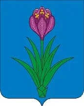 
АМС Моздокское городское поселение

