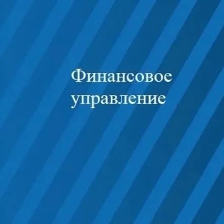 
Финансовое управление ММО
