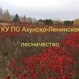
ГКУ ПО "Ахунско-Ленинское лесничество"

