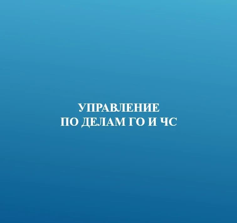 
МКУ "Управление по Делам ГО и ЧС Г.Южно-Сахалинска"
