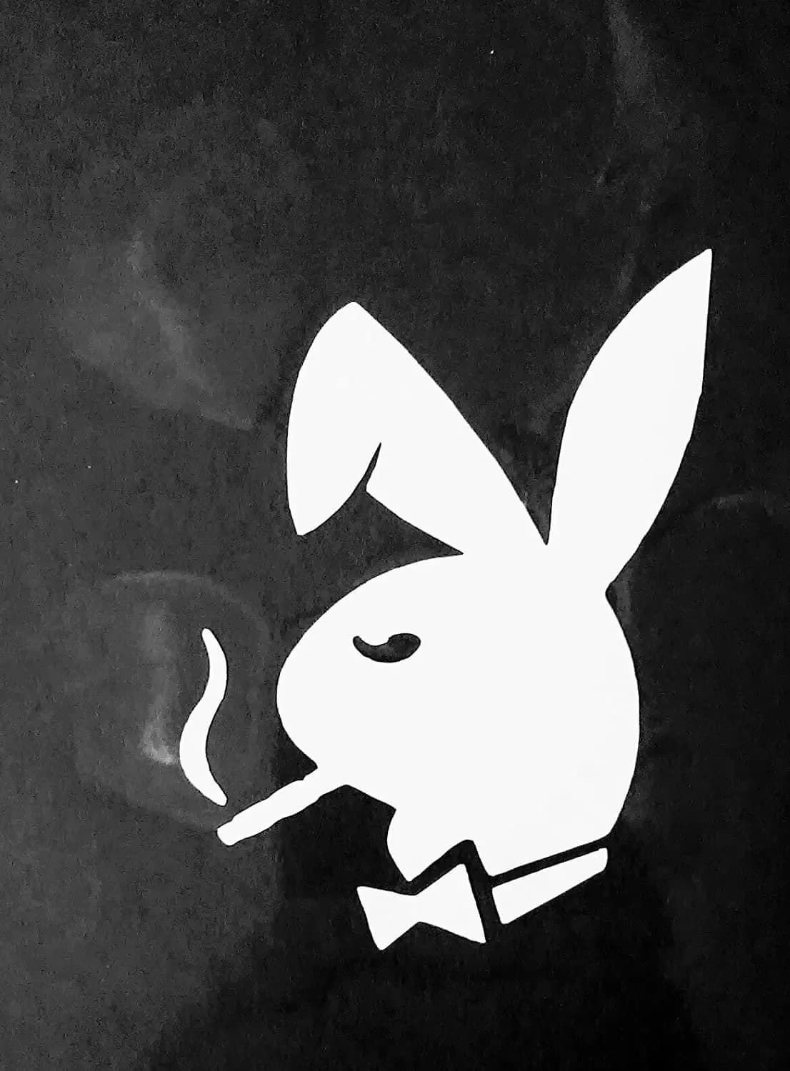 
Bald Rabbit
