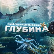 Глубина @podvodniymir_vk