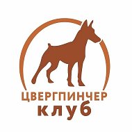 ЦВЕРГПИНЧЕР КЛУБ @zwergpinscherclub