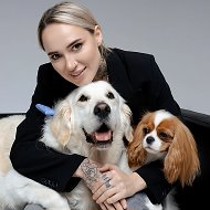 Киноблогер с хвостатыми | syilers @syilers2019