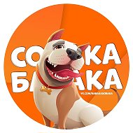 Собака бабака @babakasobaka