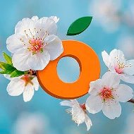 Манго | оптово-розничный центр | ЛНР @mango_lpr