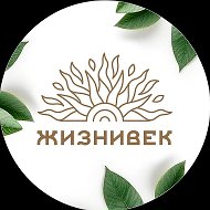 Жизнивек @ziznivek