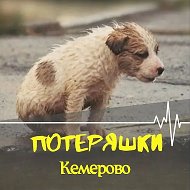 ПОТЕРЯШКИ Кемерово @poteryashkikemerovo