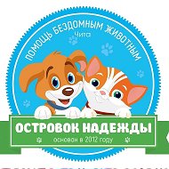 Островок надежды.Помощь бездомным животным.Чита @ostrovok_nadezhdi