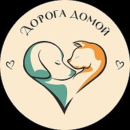 Дорога Домой (г. Муром) @dorogadom33