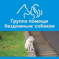 Город преданных собак 73 @ch_73help_dog