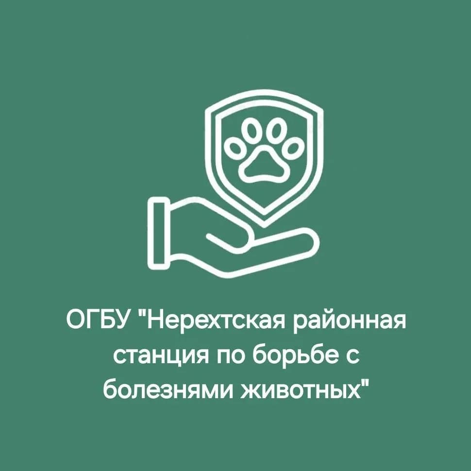
ОГБУ"НЕРЕХТСКАЯ РАЙ СББЖ,"
