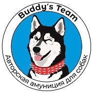 Buddy s Team Амуниция и ошейники для собак @buddys_team