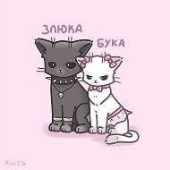 кить | котики и не только @meowkyit