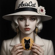 AxisCat @axiscat