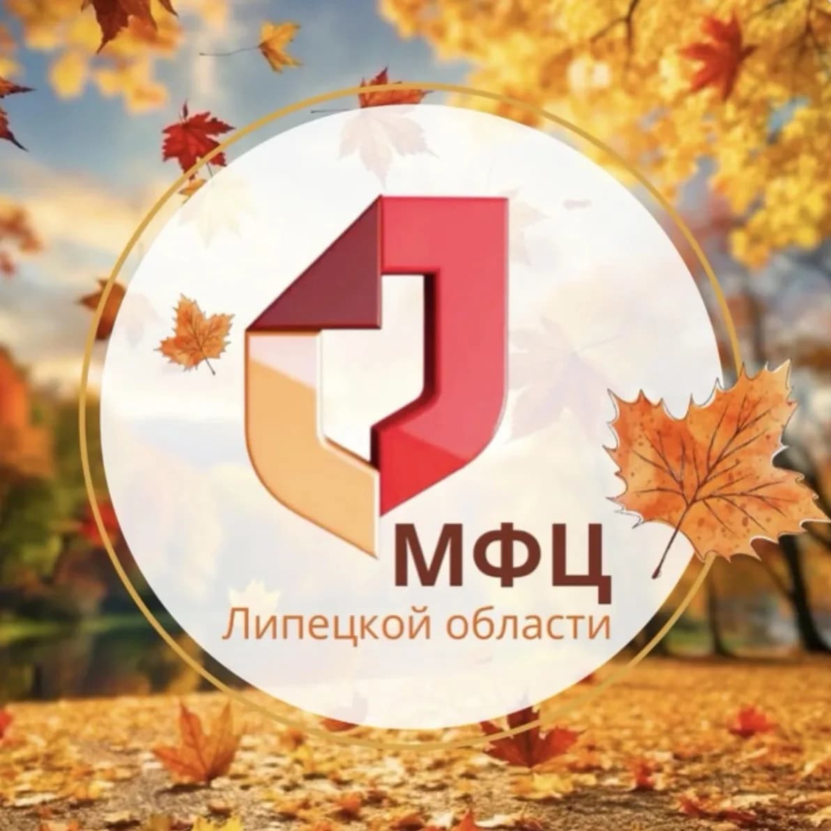 
МФЦ Липецкой области
