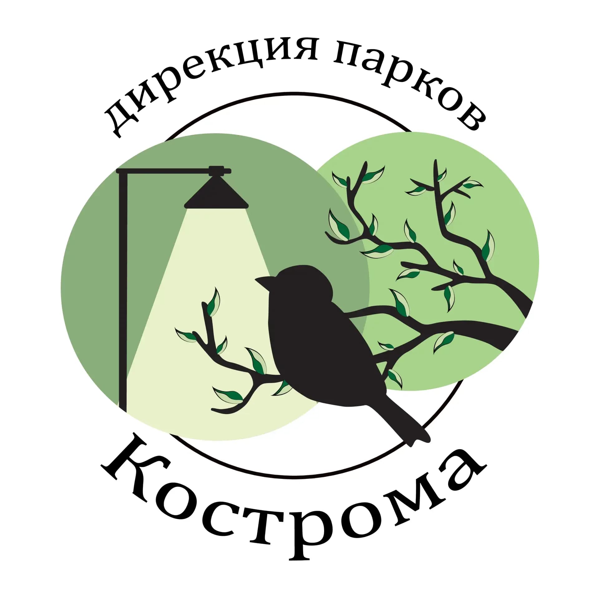 
Дирекция парков города Костромы
