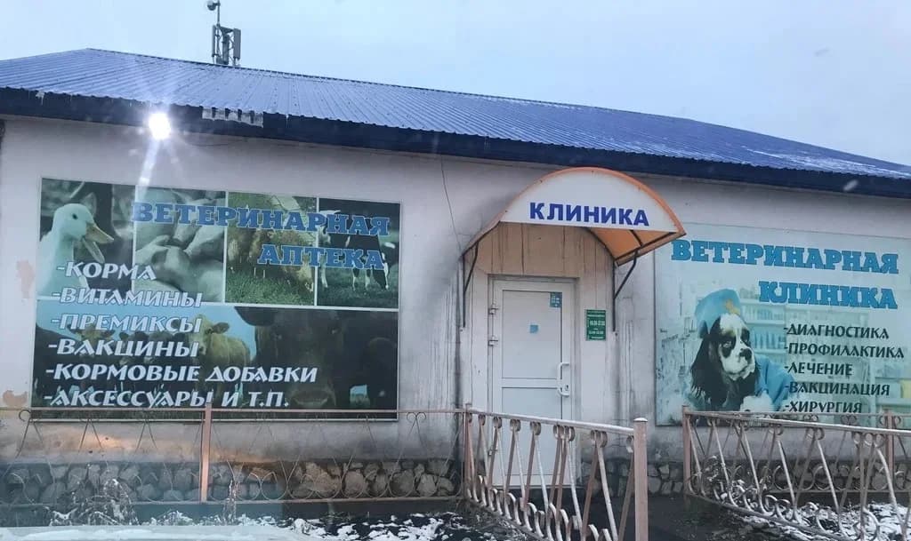 
ОГБУ "Черемховская СББЖ"
