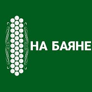 НА БАЯНЕ @na_bayane