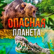 Опасная планета @public206474980