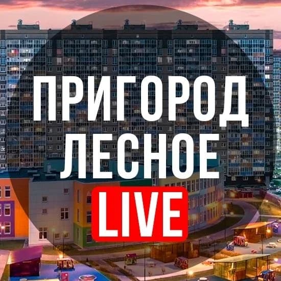 
Пригород Лесное LIVE
