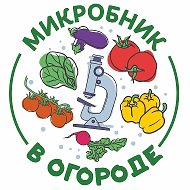 В Огороде @vogorode1