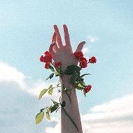 Истина на ладони @istina_na_ladoni