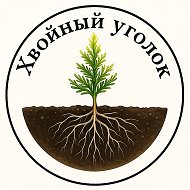 Хвойный уголок - саженцы, растения оптом и розницу @mojsadiogorod