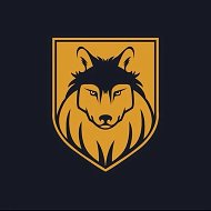 The Wolf © Мотивация | Деньги | Успех @the_wolf_c