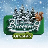 Выборная oнлайн (Новосибирск) @vybornaja