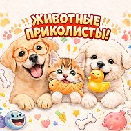 Животные приколисты @vernisvchuvstva