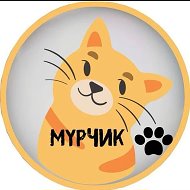 Мурчик 🐱/Котики/Пушистики/Животные/Юмор» @Myrchikcats