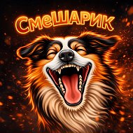СмеШАРИК | Смешные животные @ny_nasmeshnil