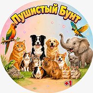 Пушистый Бунт @likes_animals