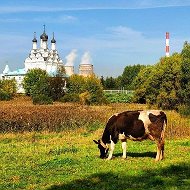 Замкадье | Подмосковье | Мытищи @zamkadye_new