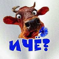 И чё? @i_che_prikoly